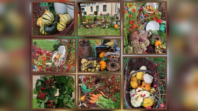 Der Herbst in seiner ganzen Pracht! (Bild: Edeltraud Stollner )