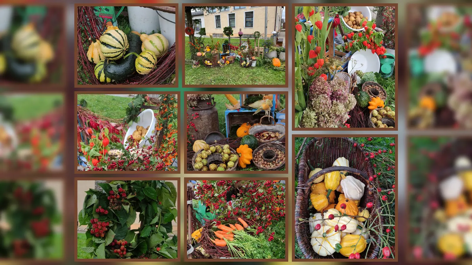 Der Herbst in seiner ganzen Pracht! (Bild: Edeltraud Stollner )