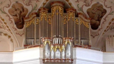 Prospekt der Jann-Orgel der Stadtpfarrkirche Neustadt. (Archivbild: hbl)