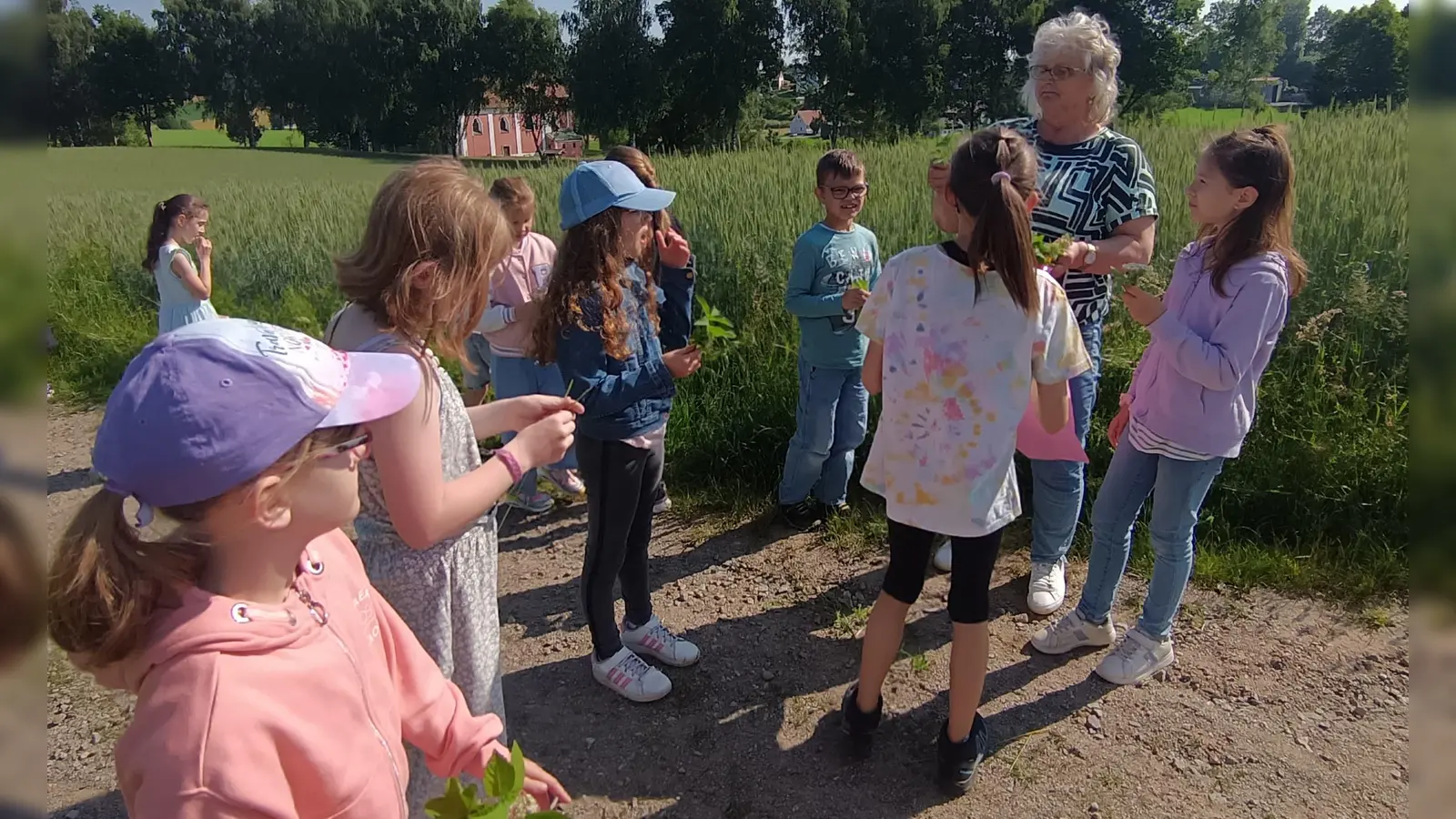 Die zertifizierte Kräuterführerin erklärte den Moosbacher Ferienkids die verschiedenen Wildkräuter (Bild: Anja Rembold)