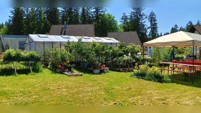 Pflanzenbörse inmitten mediterranem Flair  (Bild: Michael Lukas)