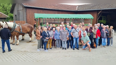 bei der Kutsche (Bild: Renate Bruckner)