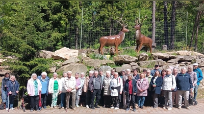 Gemeinsam unterwegs: Die Reisegruppe des AWO Ortsverein Störnstein besucht das Hotel - Gasthof am Steinbruchsee mit Wildgehege in Furth im Wald. (Bild: Johann Völkl)