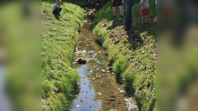 Die Mini-Enten auf der „Rennstrecke” (Bild: Markus Hubmann)