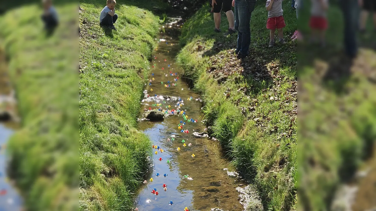 Die Mini-Enten auf der „Rennstrecke” (Bild: Markus Hubmann)