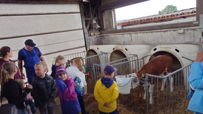 Ferienkinder auf dem Bauernhof in Obertresenfeld (Bild: Roman Bauer)
