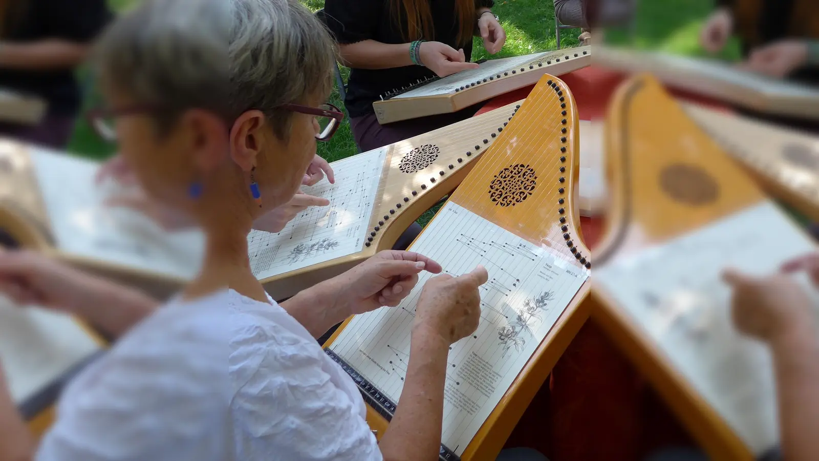 Veeh-Harfen-Kurs für haupt- und ehrenamtliche Pflege- und Betreuungskräfte (Bild: Herrmann Veeh)