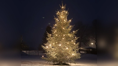 Der Christbaum am Sportplatz leuchtet traditionell vom ersten Adventssamstag bis Lichtmess. (Bild: Christian Stangl)