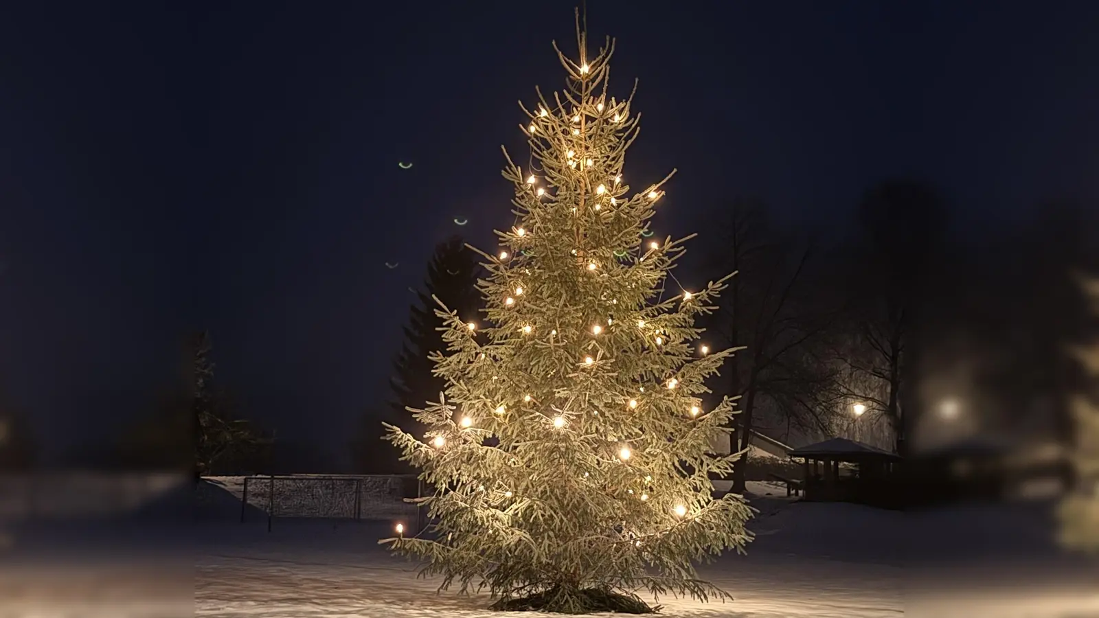 Der Christbaum am Sportplatz leuchtet traditionell vom ersten Adventssamstag bis Lichtmess. (Bild: Christian Stangl)