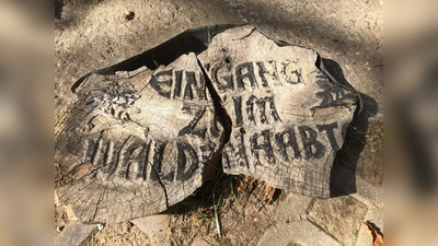 Die Überreste des früheren, langjährigen Wegweisers.  (Bild: Reiner Windschiegl)