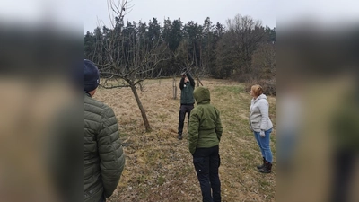 Obstbaumschnittkurs in Kohlberg (Bild: Gerhard List)