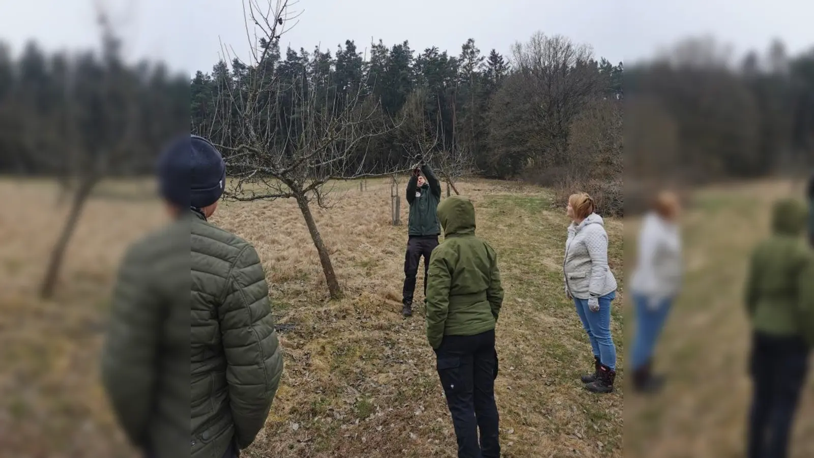 Obstbaumschnittkurs in Kohlberg (Bild: Gerhard List)