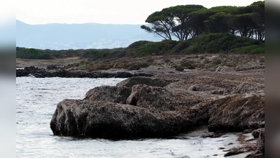 Multivisionsschau im Stadtmuseum Pleystein. (Bild: Georg Birner und Heidi Dolles-Birner)