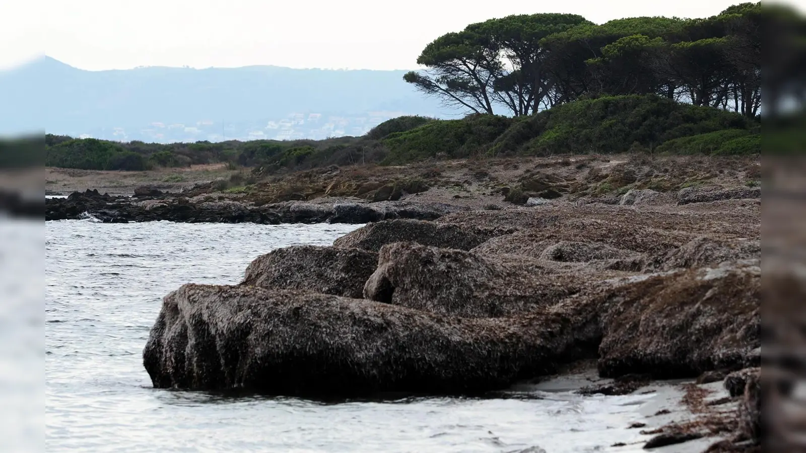 Multivisionsschau im Stadtmuseum Pleystein. (Bild: Georg Birner und Heidi Dolles-Birner)
