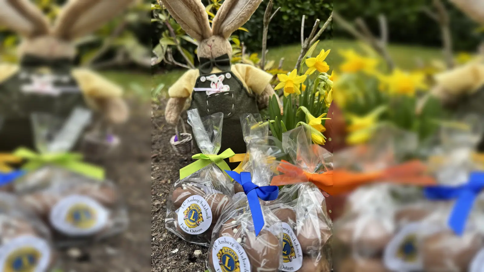 Fünf Euro kostet ein Lions-Osterpäckchen, das vier Schokoeier verschiedener Geschmacksrichtungen enthält. (Bild: Hubert Uschald)