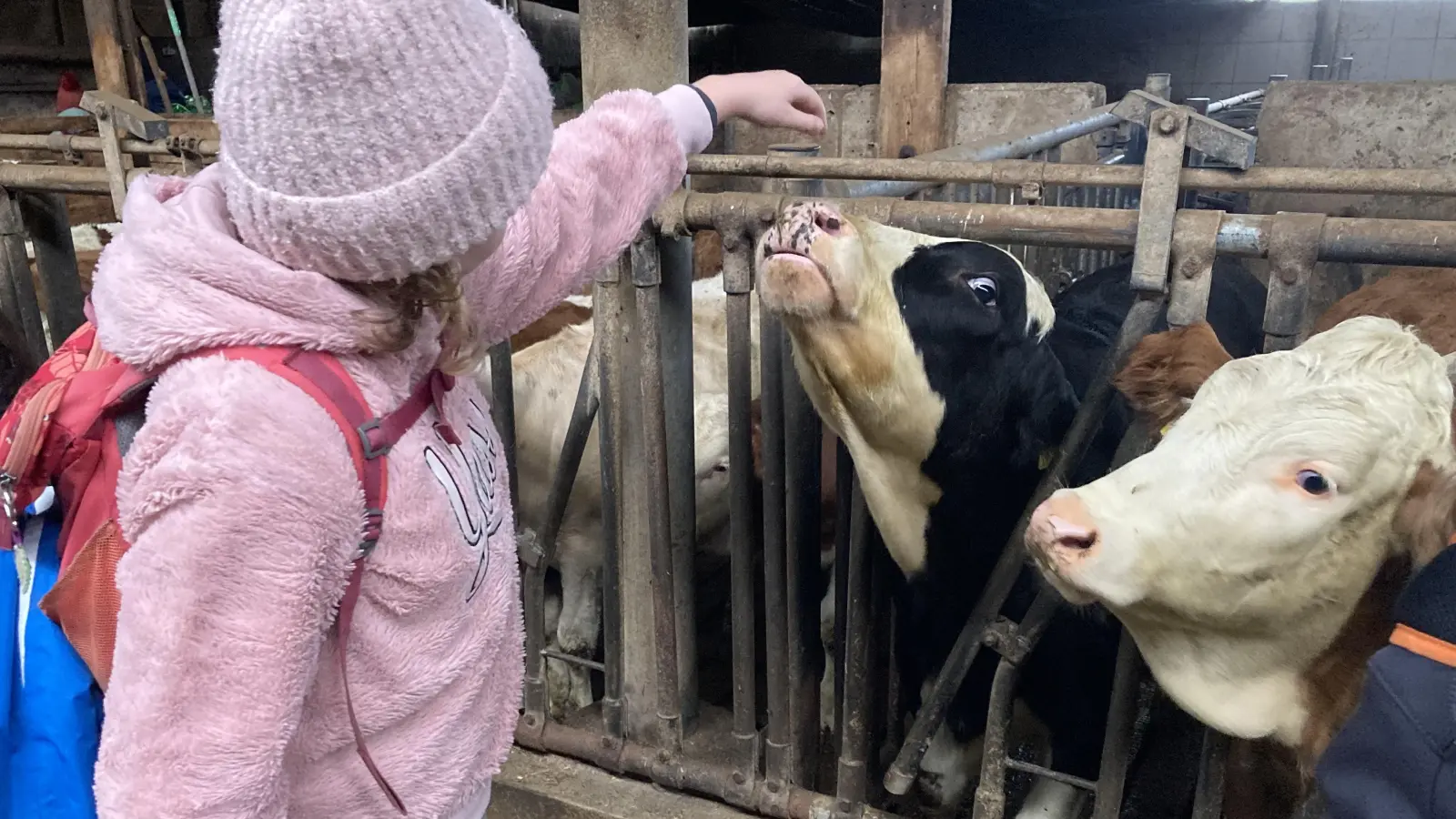 Im Kuhstall gab es eine Menge zu entdecken.  (Bild: Vroni Radl)