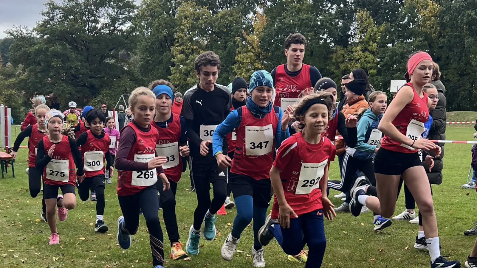 Crosslauf TV Bechtsrieth (Bild: Dagmar Gebhardt)