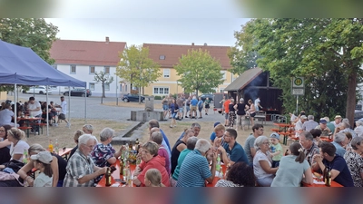 Um den Dorfbrunnen herum fand das traditionelle Brunnenfest statt. (Bild: Manuela Kellermann )