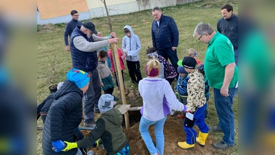 Anlässlich der Gründung der Kinder- und Jugendgruppe des OGV Sigl wurde am Axtheid – Berg im Beisein von Bgm. Hans Martin Schertl (Mitte) und Vorstand Armin Heuberger (rechts) eine Sommerlinde gepflanzt. (Bild: Monika Krieger)