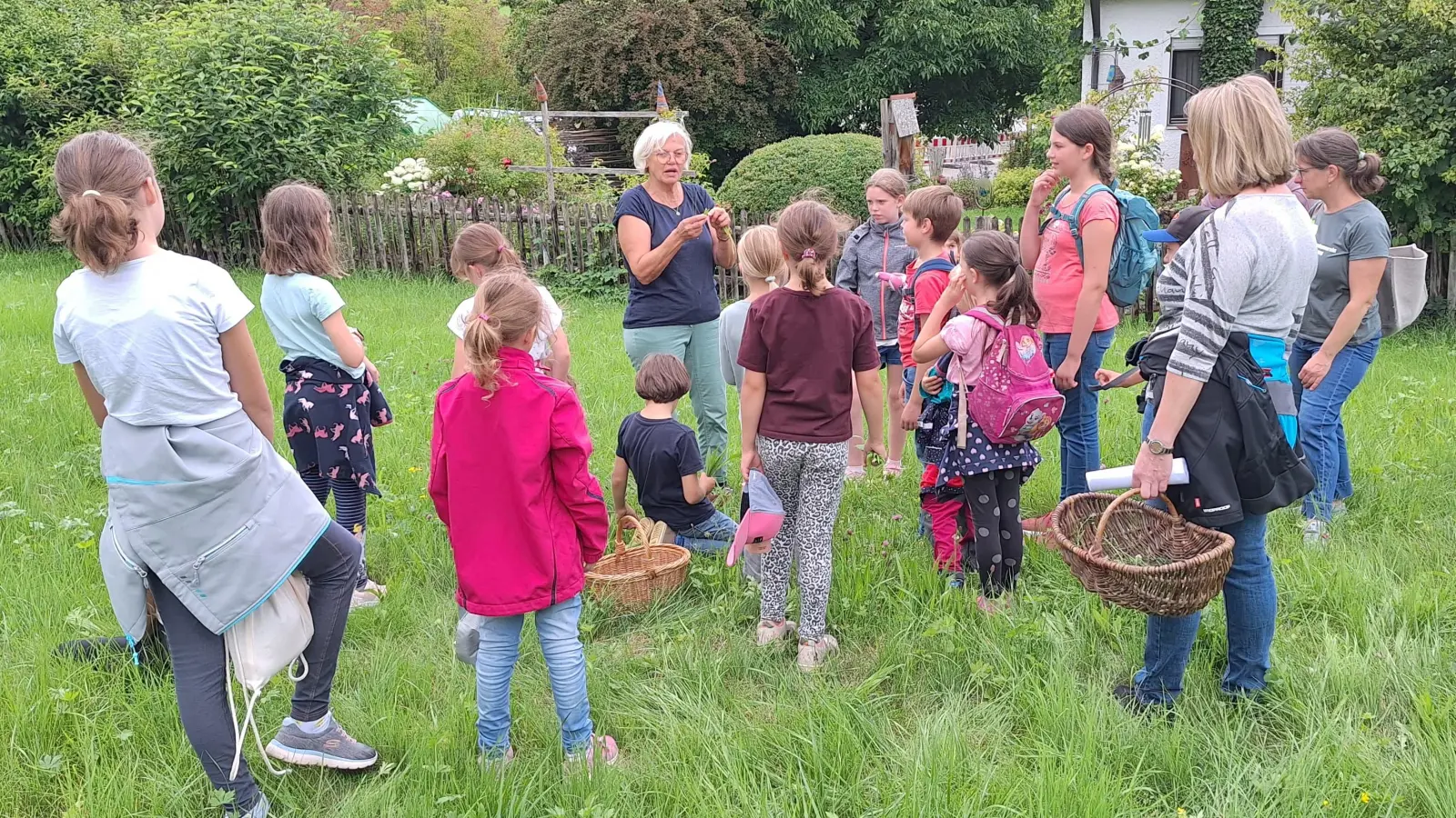 Renate Päßler erklärt den Kindern den Spitzwegerich  (Bild: Sandra Henselmann)