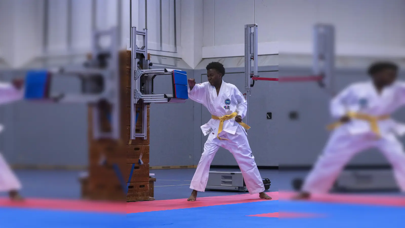 Mit voller Konzentration: Ein Vilsecker zeigt beim Bruchtest, was im Taekwon-Do steckt. (Bild: Lisa M. Goetz)