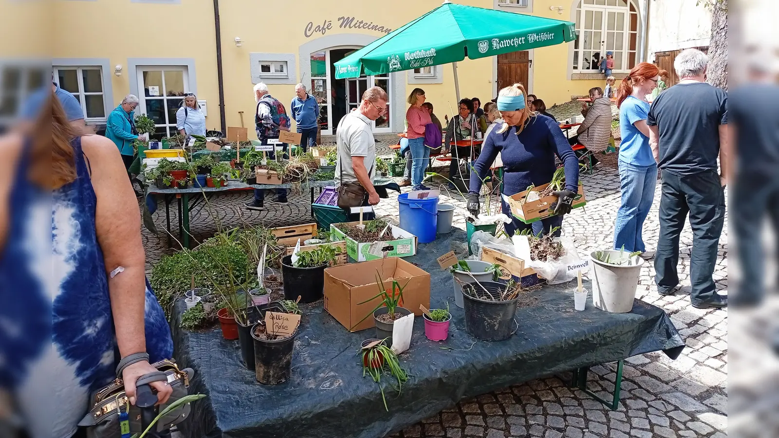 Sehr gut besucht war der Pflanzentauschtag des Obst- und Gartenbauverein Waldershof im Hinterhof des Alten Rathauses.  (Bild: Owald Zintl)