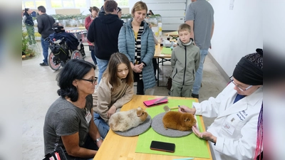 Interessiert beobachteten die Meerschweinchen-Liebhaber die Bewertungen der Richterinnen. Zu benoten gab es 125 Tiere. (Bild: Robert Dotzauer)