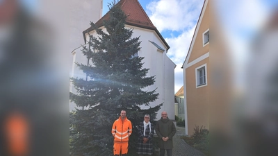  Weihnachtsbaum in Schwarzhofen. (Bild: Anton Köppl)