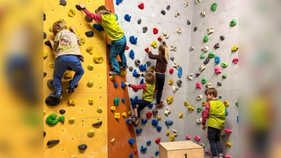 Hoch hinaus. (Bild: Markus Spörl)