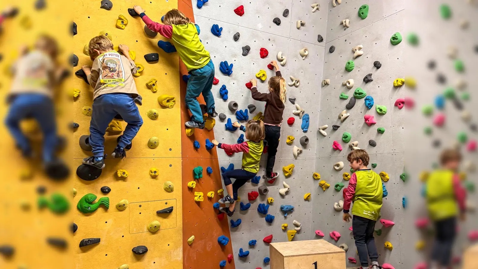 Hoch hinaus. (Bild: Markus Spörl)