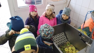 Die Äpfel kommen in die Saftpresse. (Bild: Katrin Colak)