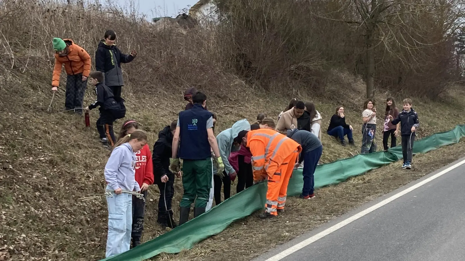 Krötenzaunbau  (Bild: Genoveva Bergemann-Hausmann)