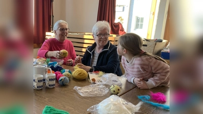 Das Steinwalnetz verbindet jung und alt. (Bild: Sarah Gallitzendörfer)