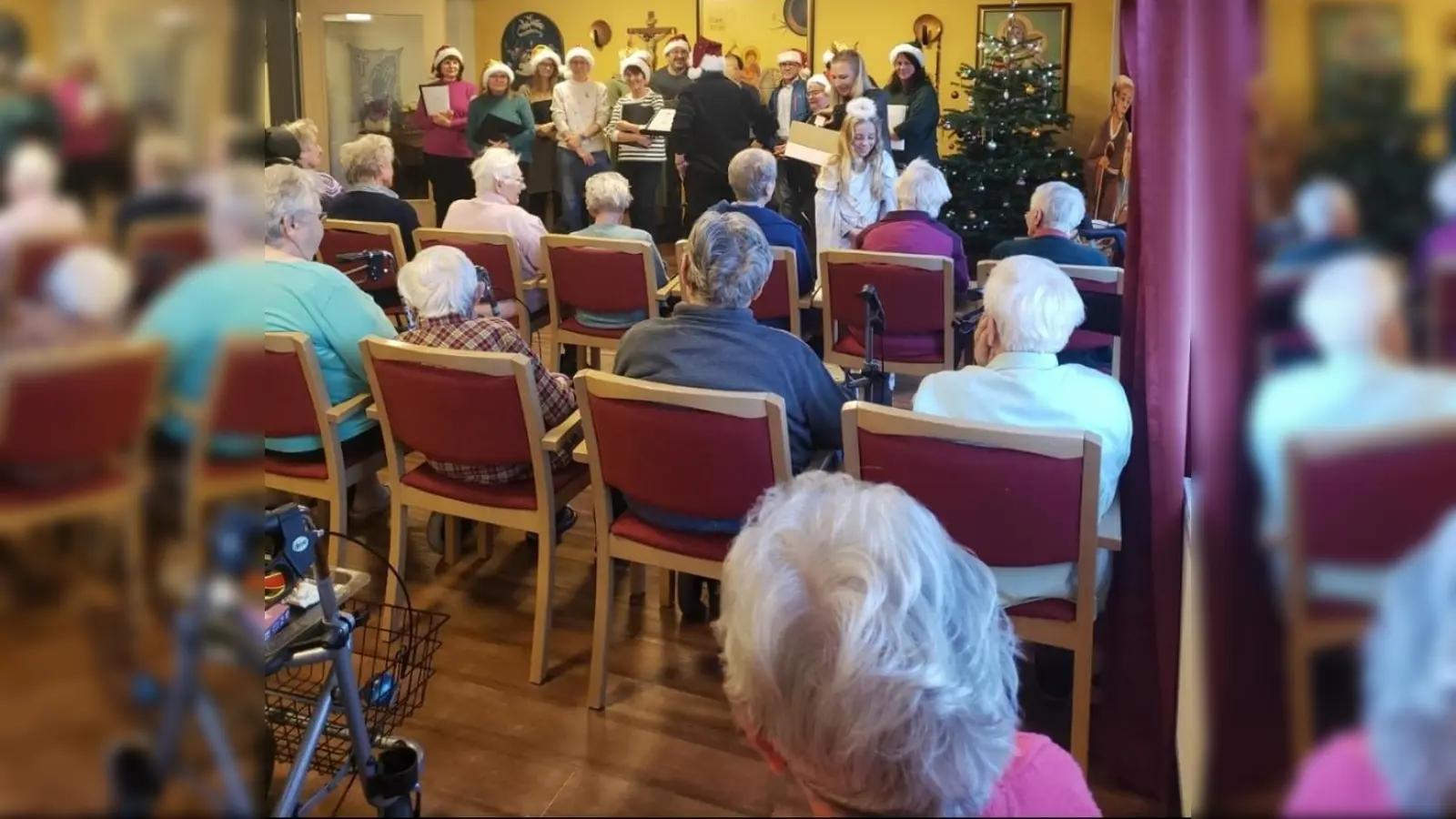 Veeh-Harfen Konzert im Haus Frohnwiesen (Bild: Thomas Soluch)