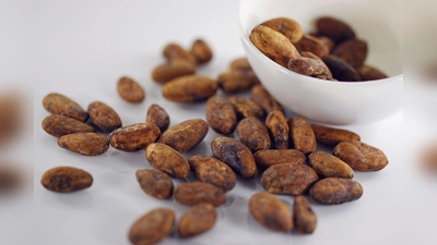 Kakaobohnen. (Bild: Pixabay)