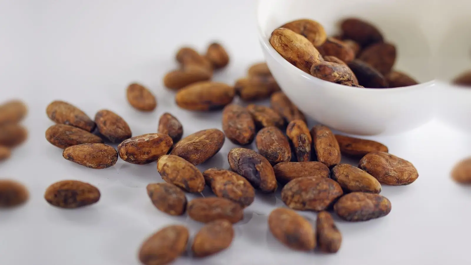Kakaobohnen (Bild: Pixabay)