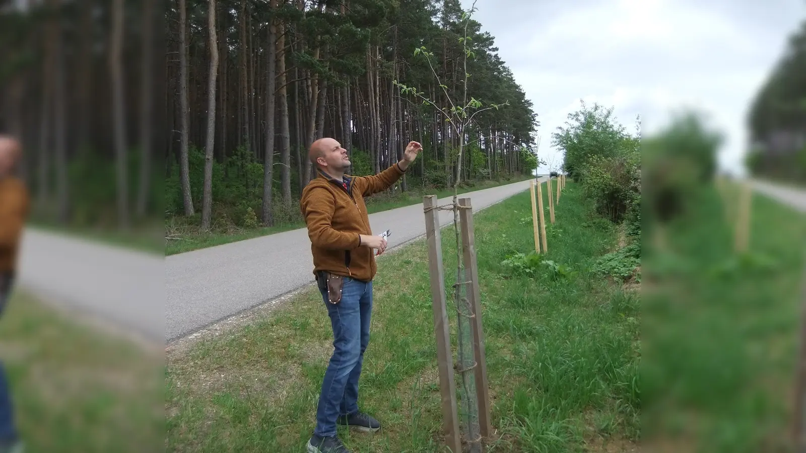 Der Kreisfachberater für Gartenbau Markus Kurz schaut sich den Baum sowie den Astaufbau insgeamt geanu an und gibt ihm mit dem wichtigen Pflanzschnitt Zukunft sowie seinem Besitzer später Freude. (Bild: Michael Götz)