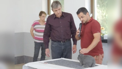 Der Preisrichter Markus Grillenbeck und Zuchtwart Hans Schieder (v.r.) beim Begutachten der Rasse „Blaue Holicer“. (Bild: Josef Pohl)