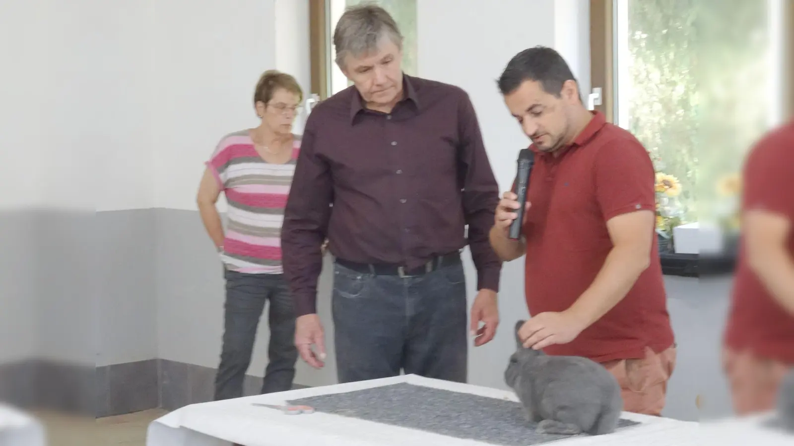 Der Preisrichter Markus Grillenbeck und Zuchtwart Hans Schieder (v.r.) beim Begutachten der Rasse „Blaue Holicer“. (Bild: Josef Pohl)