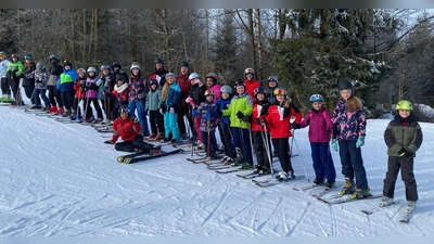 Viel Spaß hatten die Kids beim Schikurs auf dem Fahrenberg (Bild: Gerhard Steiner)