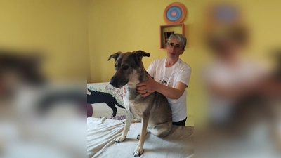 Hund in Harmonie. (Bild: Foto Credits)