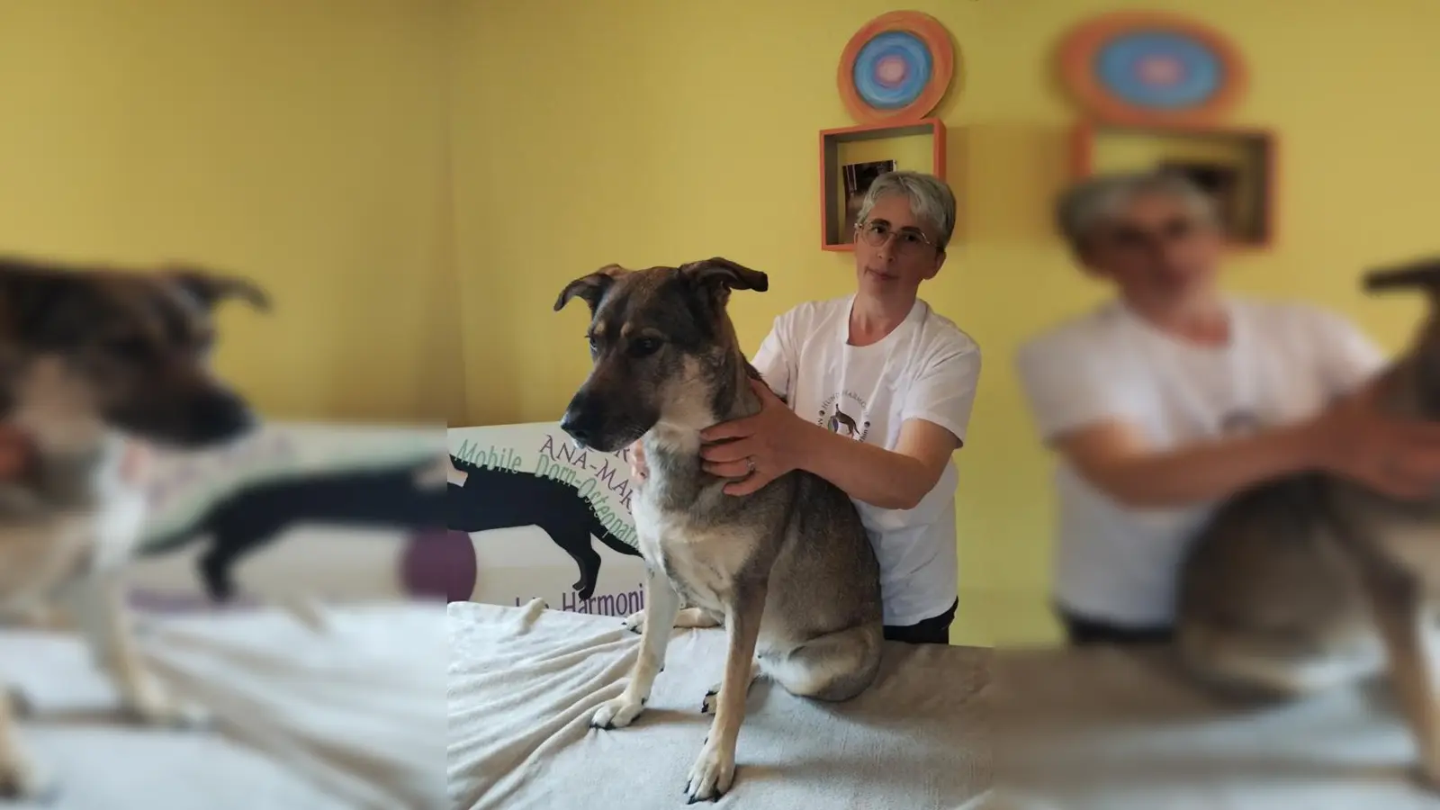 Hund in Harmonie. (Bild: Foto Credits)