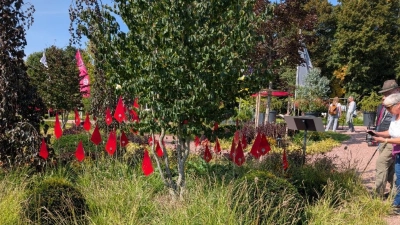  Impressionen am Rundweg (Bild: Rudolf Haupt)