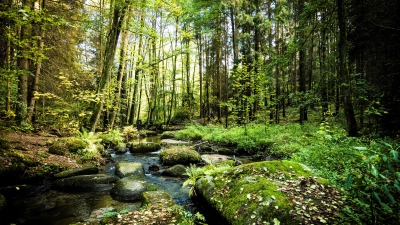 Das Lerautal. (Bild: Thomas Kujat)