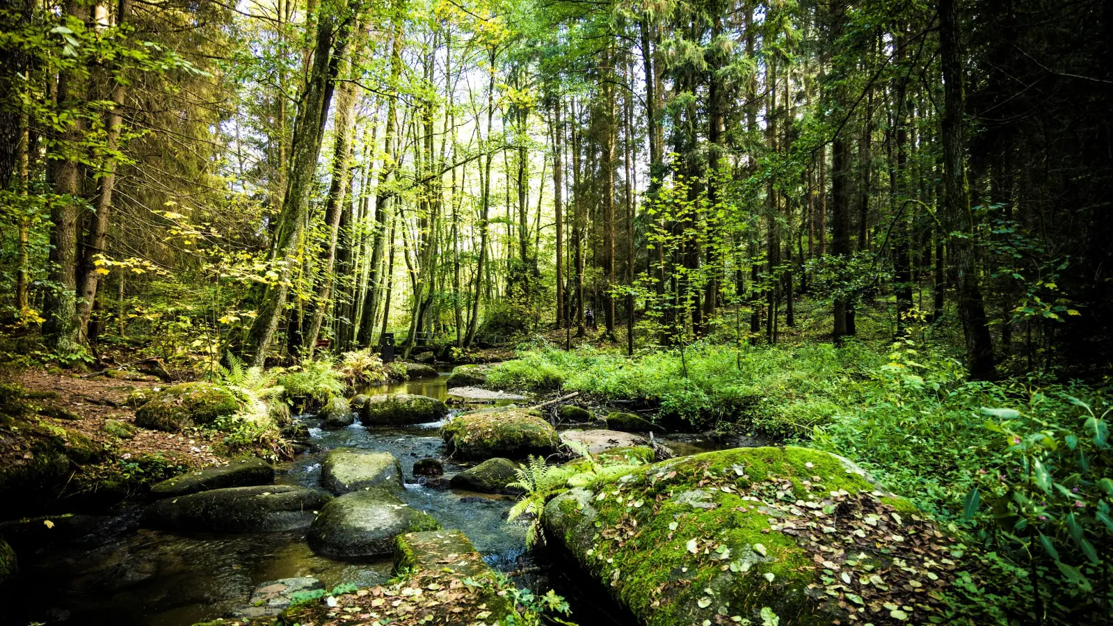 Das Lerautal. (Bild: Thomas Kujat)