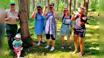 Mit dem Spiegel vor der Nase wandern un dabei entweder die Baumwipfl oder Baumwurzeln zusehen, verändert die Wahrnehmung stark. Eine heitere Einlage, die für witzige Momente sorgte.  (Bild: Heidi Eckl)