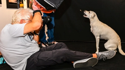 Rüdiger Gollwitzer gab beim Hunde-Shooting alles. (Bild: Dr. Siegfried Steinkohl)
