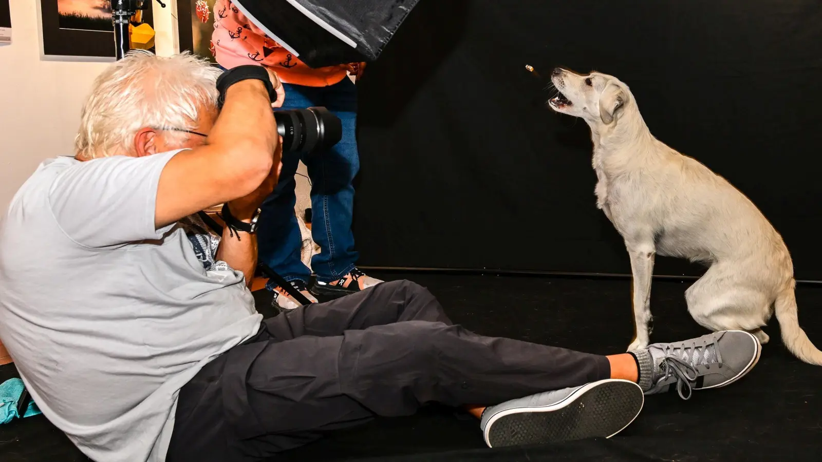 Rüdiger Gollwitzer gab beim Hunde-Shooting alles. (Bild: Dr. Siegfried Steinkohl)
