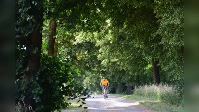 Angekündigt wird die Radtour „Via Carolina – Verbotene Straße“ des Naturparks Nördlicher Oberpfälzer Wald. (Bild: Naturpark Nördlicher Oberpfälzer Wald / Mathilde Müllner)