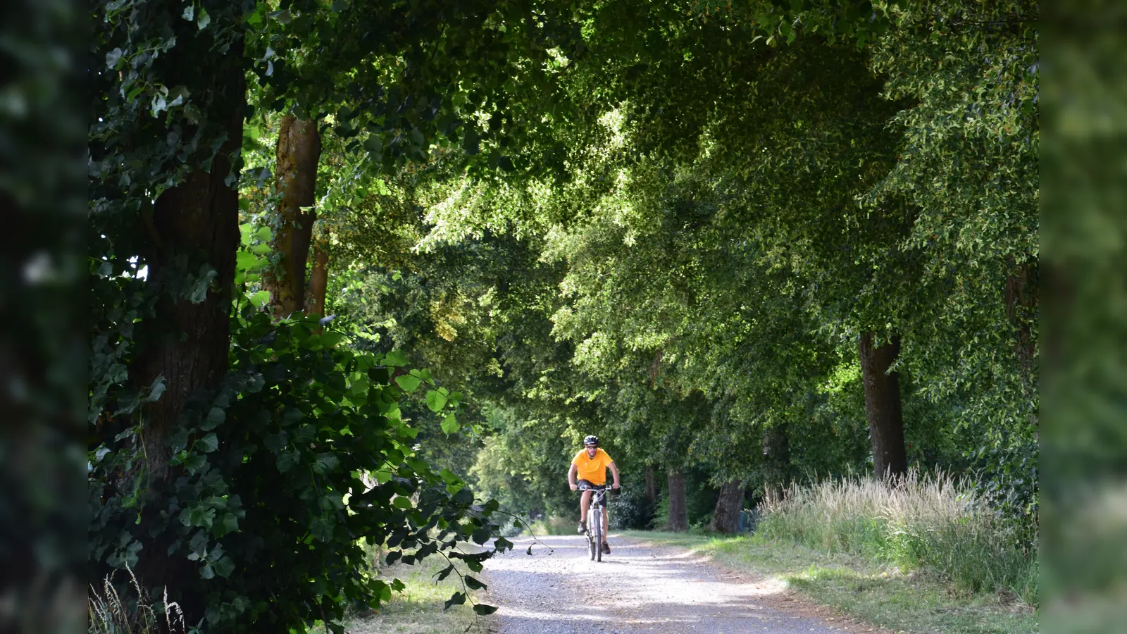Angekündigt wird die Radtour „Via Carolina – Verbotene Straße“ des Naturparks Nördlicher Oberpfälzer Wald. (Bild: Naturpark Nördlicher Oberpfälzer Wald / Mathilde Müllner)